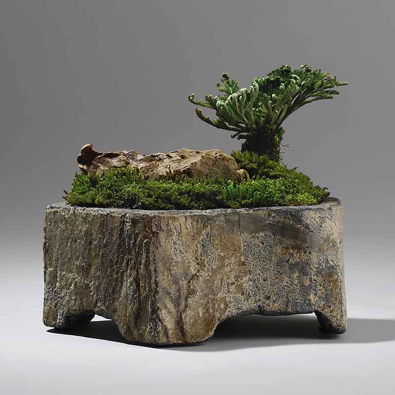 Bonsai Garden Indoor - Bazalt Doğal Taş Saksı El Yapımı