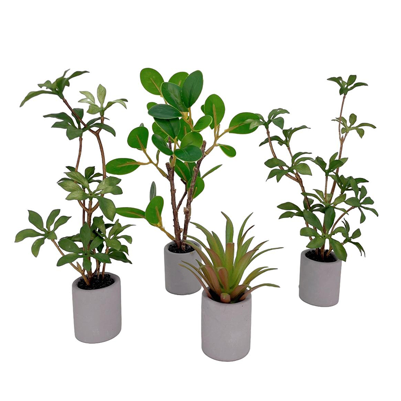Bonsai Garden Europe - 1:6 Evcilik Minyatür Saksı Bitki Yeşil