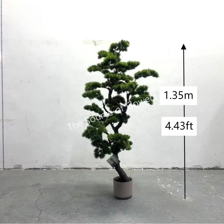 Bonsai Garden Indoor - Yapay Sedir Çam Ağaçları İç ve