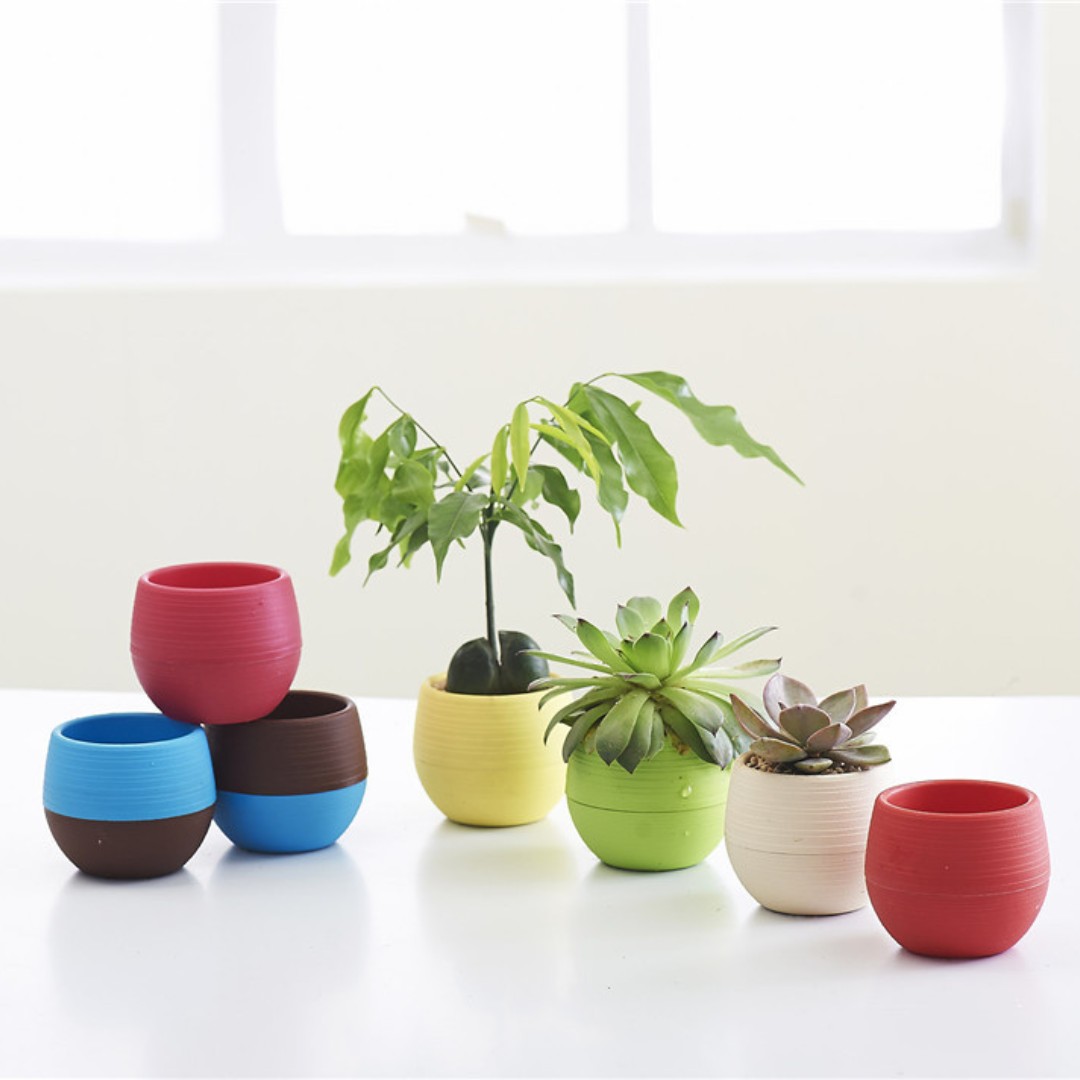 Bonsai Garden Europe - Bahçe Mini Plastik Saksılar Kreş Saksıları,