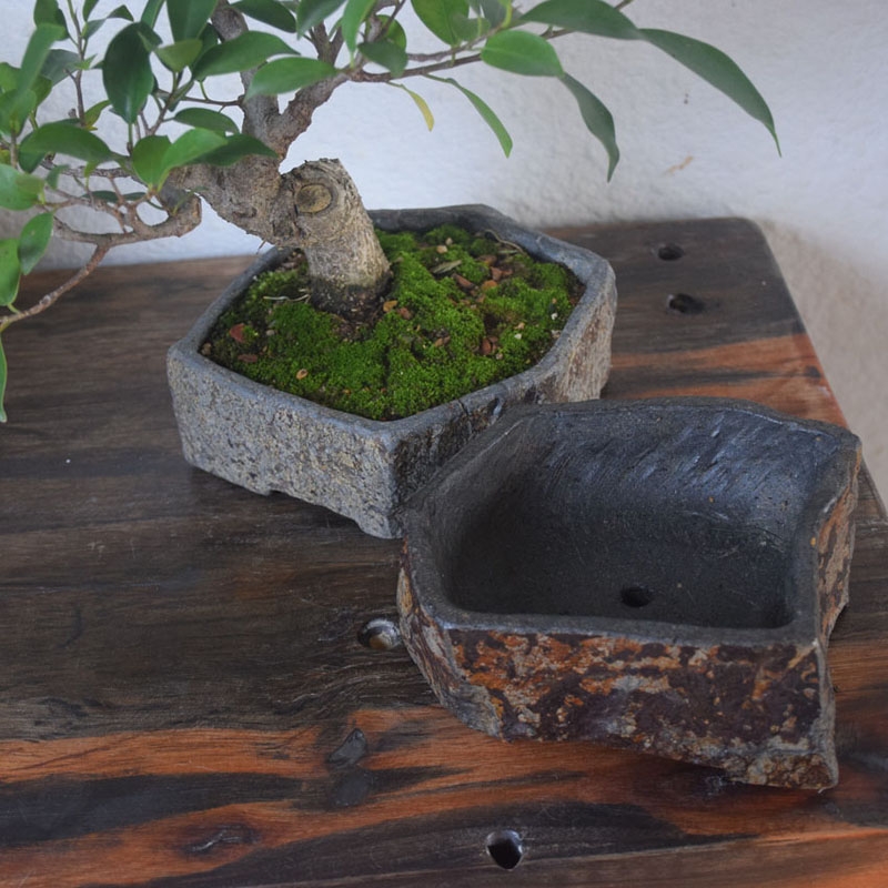 Bazalt Doğal Taş Saksı El Yapı - Bonsai Garden Indoor incelemesi ve fiyatı