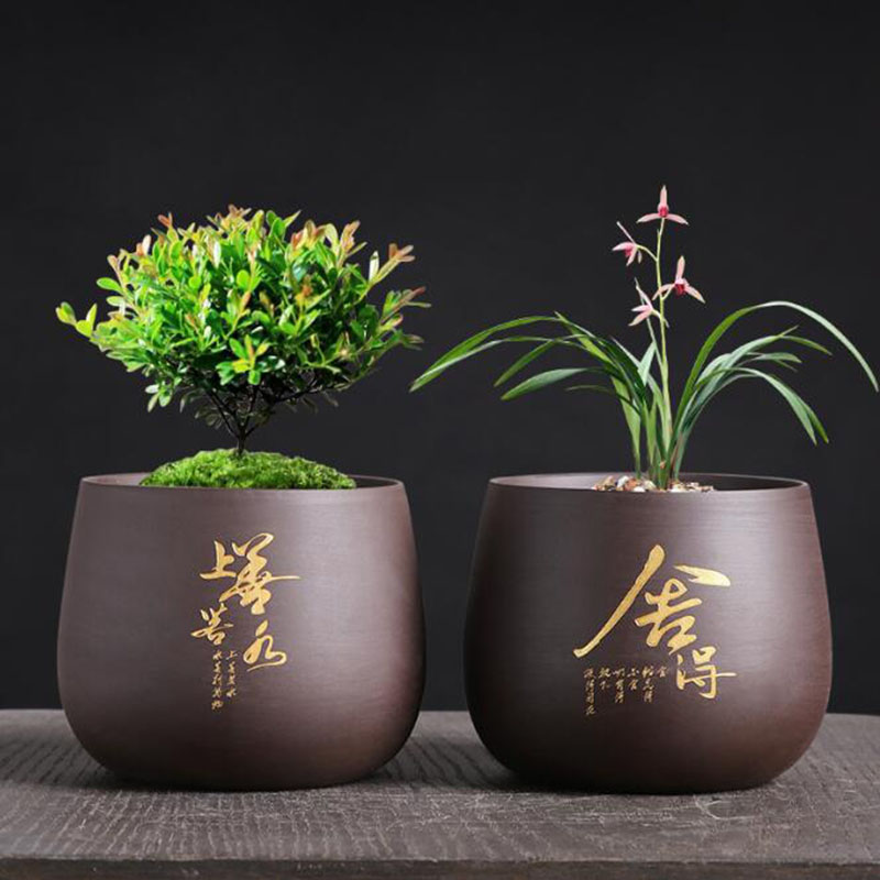 Çin tarzı mor kil saksı orkide - Bonsai Garden Europe incelemesi ve fiyatı