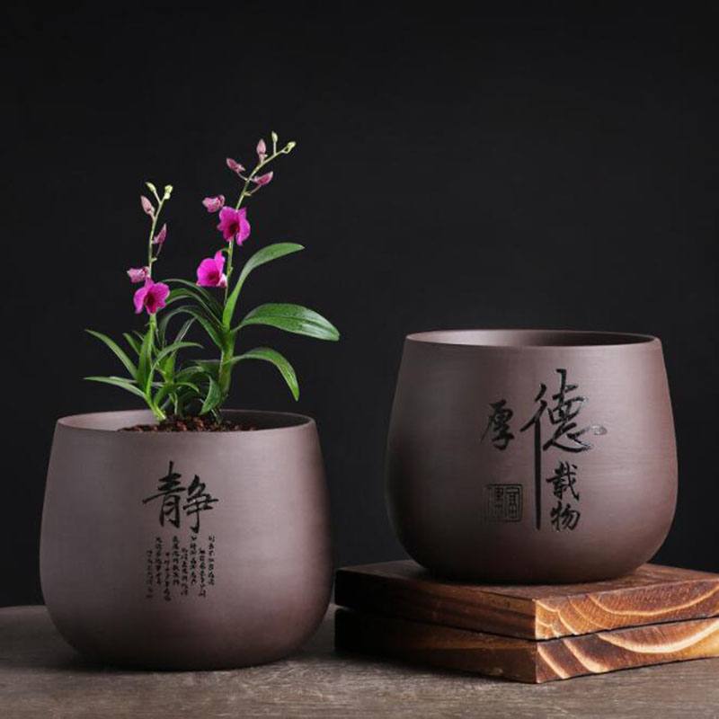 Çin tarzı mor kil saksı orkide - Bonsai Garden Europe incelemesi ve fiyatı