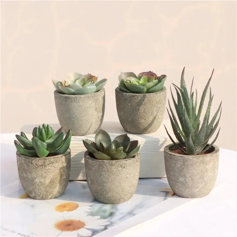 Mini Yapay Aloe Bitkileri Bons - Bonsai Garden Sushi incelemesi ve fiyatı