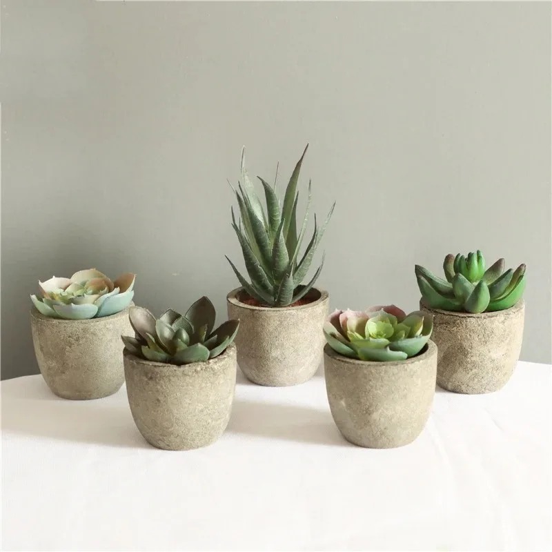 Mini Yapay Aloe Bitkileri Bons - Bonsai Garden Sushi incelemesi ve fiyatı