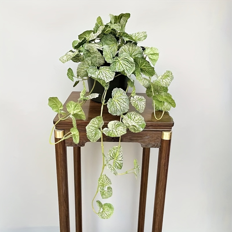 Gerçekçi yaprak dökmeyen yeşil - Bonsai Garden Indoor incelemesi ve fiyatı