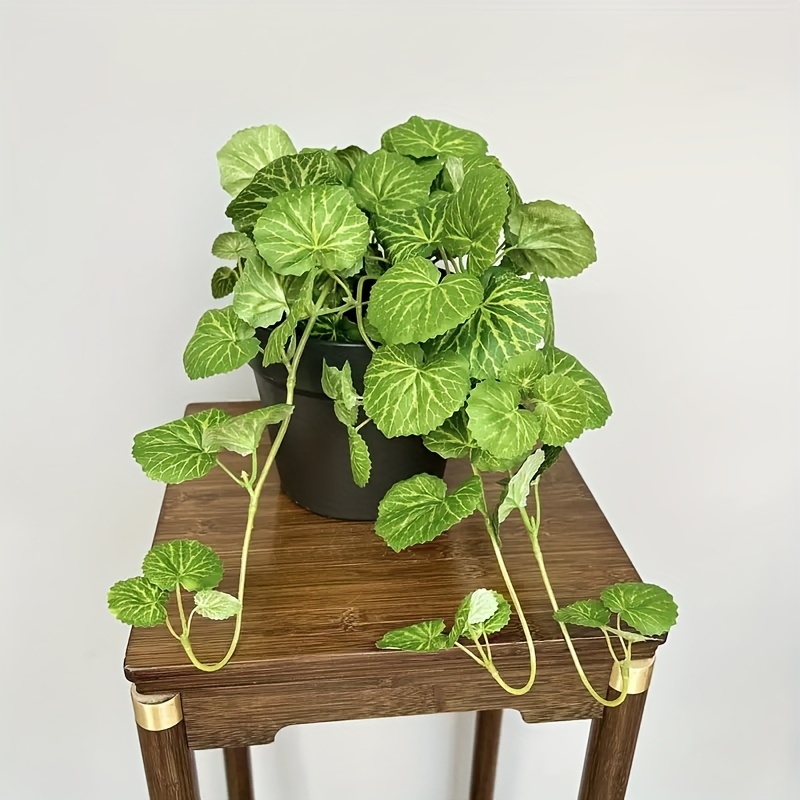 Gerçekçi yaprak dökmeyen yeşil - Bonsai Garden Indoor incelemesi ve fiyatı