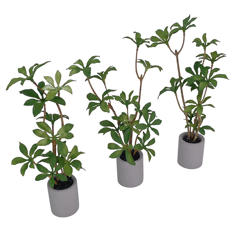 1:6 Evcilik Minyatür Saksı Bit - Bonsai Garden Europe incelemesi ve fiyatı
