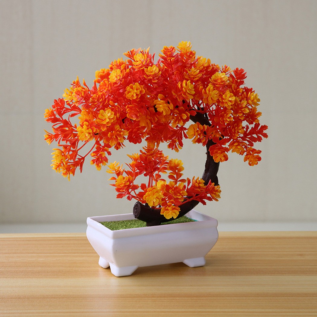 Plastik saksılı bonsai süsü, i - Bonsai Garden Indoor incelemesi ve fiyatı
