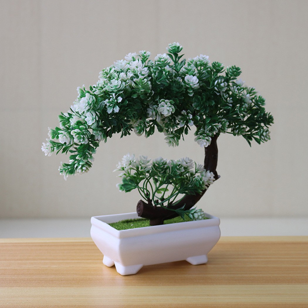 Plastik saksılı bonsai süsü, i - Bonsai Garden Indoor incelemesi ve fiyatı