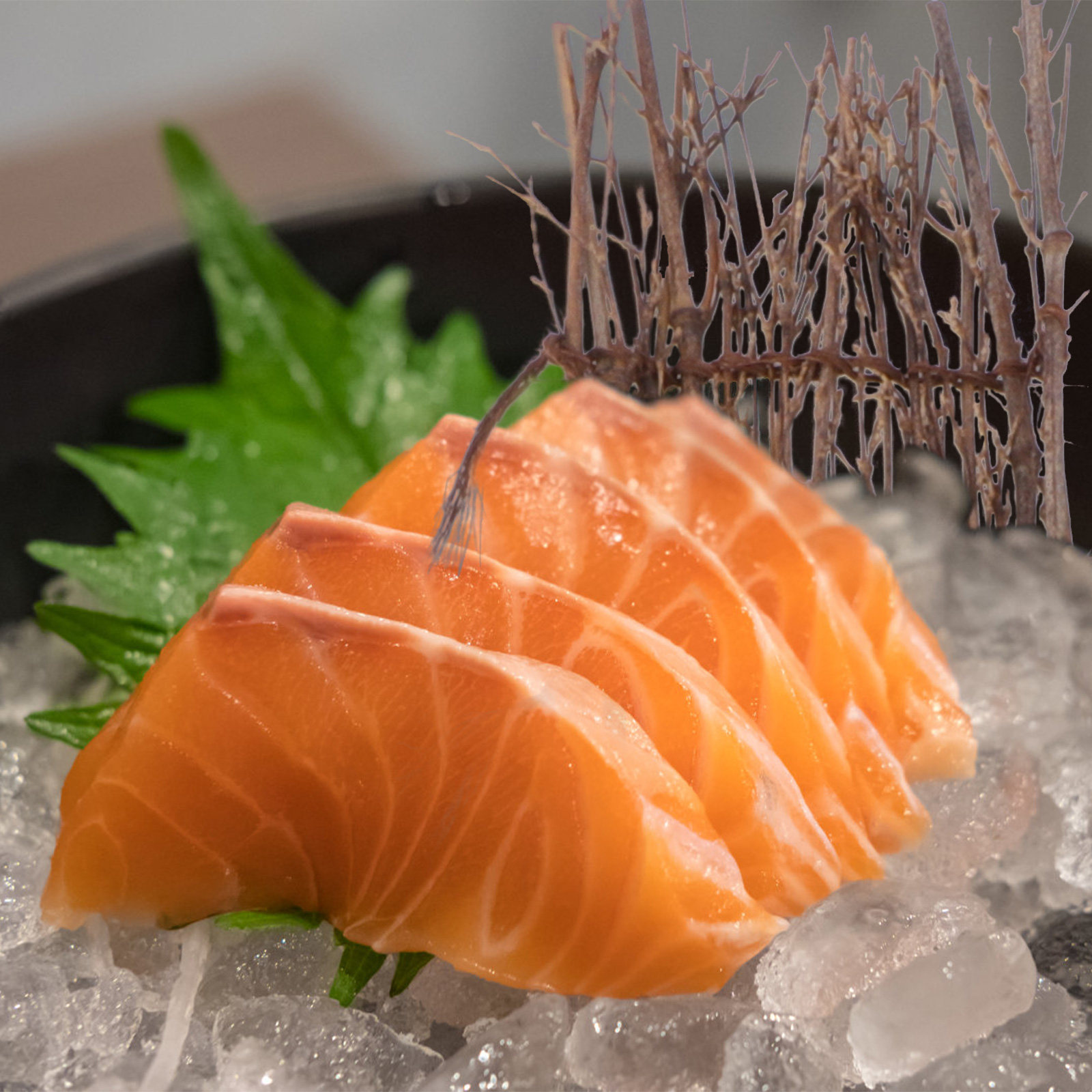 6 Adet Mikro Bambu Çit Matı El - Bonsai Garden Sushi incelemesi ve fiyatı