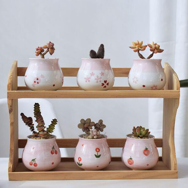 Sevimli pembe kız kalp serisi  - Bonsai Garden Europe incelemesi ve fiyatı