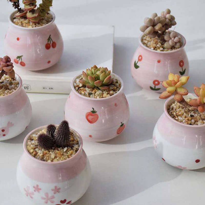 Sevimli pembe kız kalp serisi  - Bonsai Garden Europe incelemesi ve fiyatı
