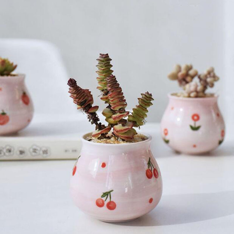 Sevimli pembe kız kalp serisi  - Bonsai Garden Europe incelemesi ve fiyatı