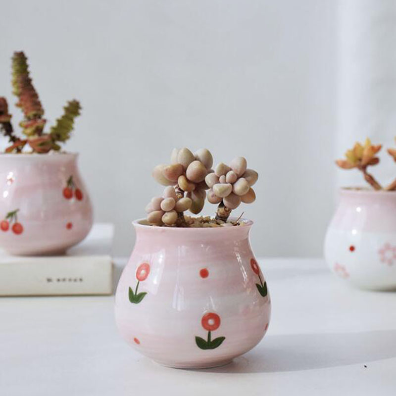 Sevimli pembe kız kalp serisi  - Bonsai Garden Europe incelemesi ve fiyatı