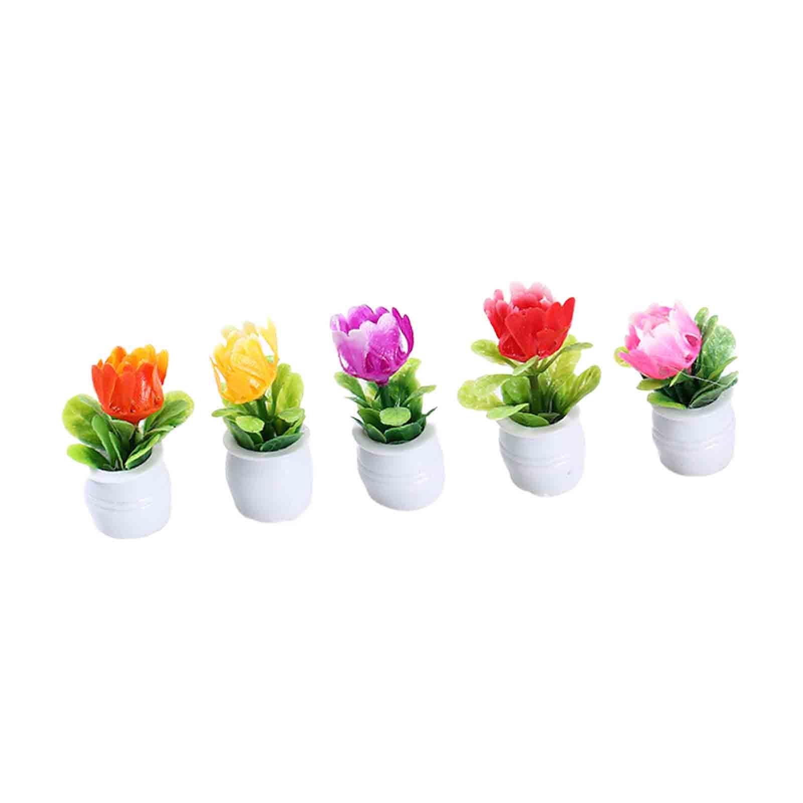 5 adet 1:12 Dollhouse Minyatür - Bonsai Garden Europe incelemesi ve fiyatı