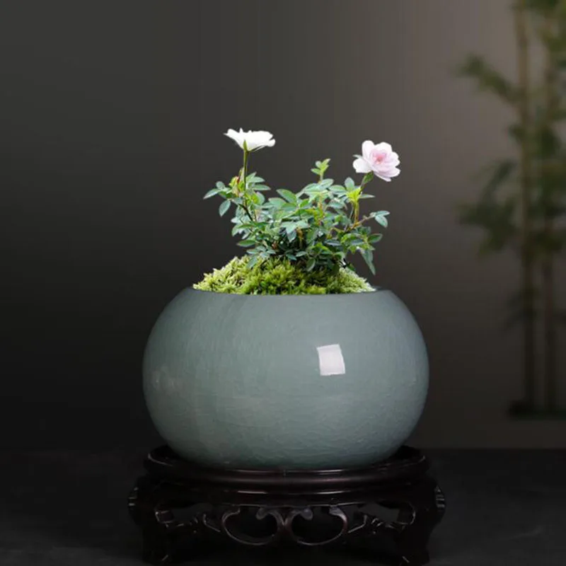 Kuşkonmaz Fern Bitki Saksısı S - Bonsai Garden Europe incelemesi ve fiyatı
