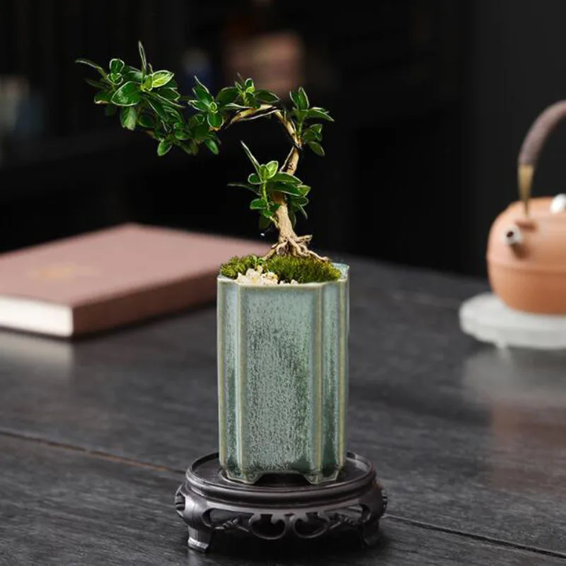 Porselen Kare Seladon Sırlı Or - Bonsai Garden Europe incelemesi ve fiyatı