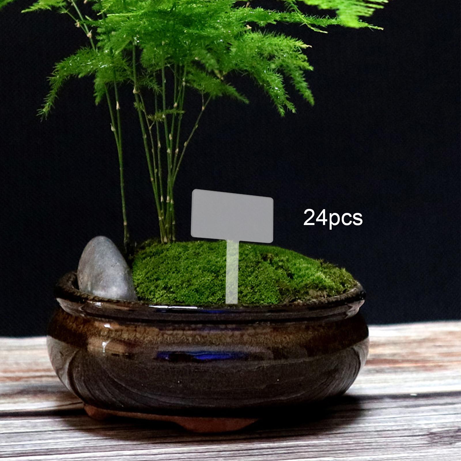 24x Akrilik Bitki Etiketi Bitk - Bonsai Garden Name incelemesi ve fiyatı